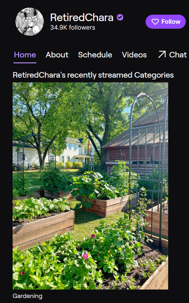 Screenshot of RetiredChara's Twitch
