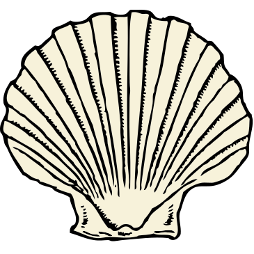 The logo of The Scallop